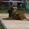 foire-haricots 2011-09-17et18